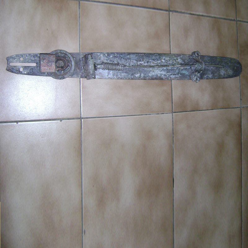 Sandragon (Pterocarpus indicus)
